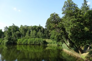 Парк Скоропадских, Тростянец